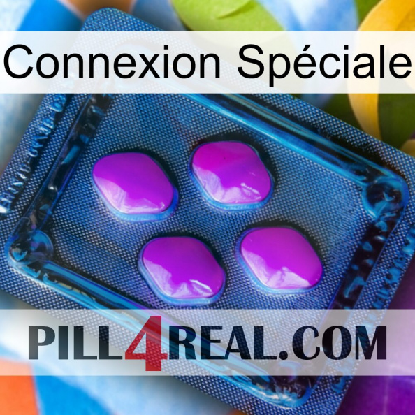 Connexion Spéciale 04